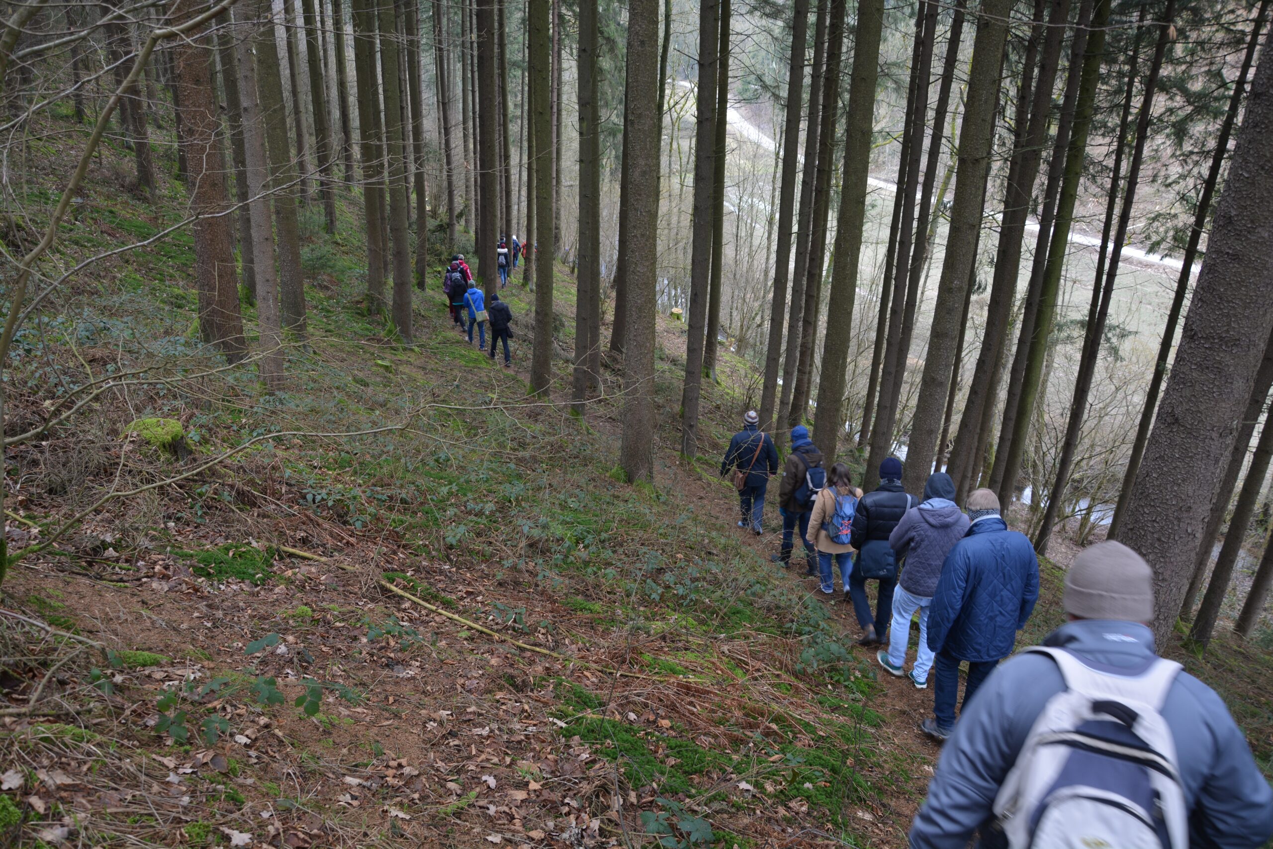 Fotos Wanderung Hasenjagd_ DSC_0107
