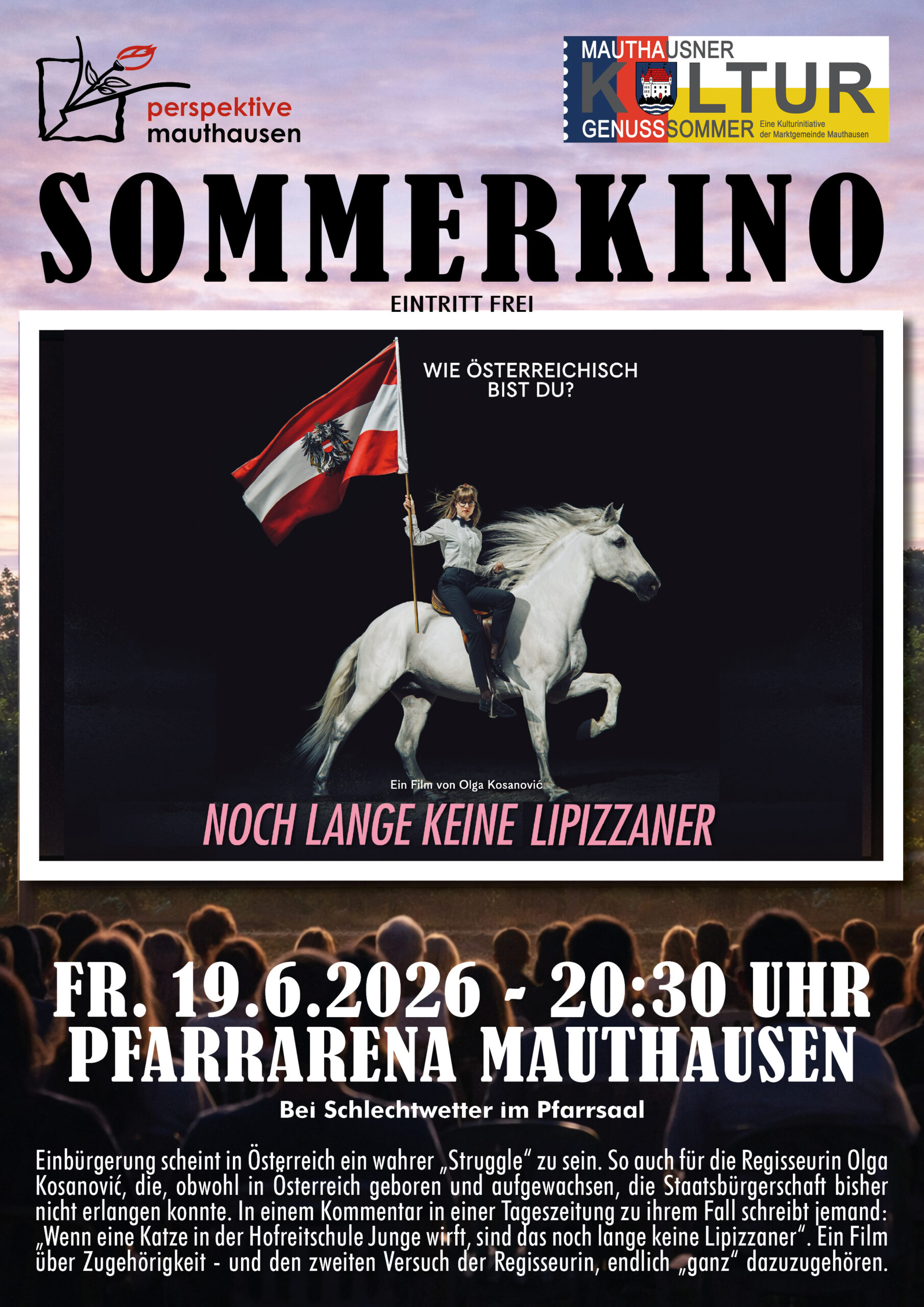 Plakat_Sommerkino2026_Perspektive_NEU